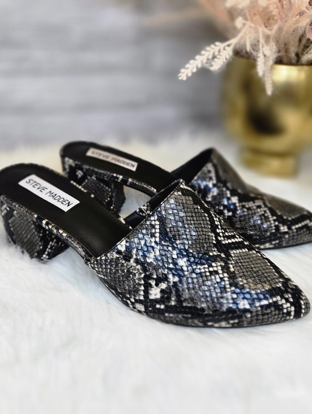 Steve Madden Bishop Black & Gray Snake-Print Mules